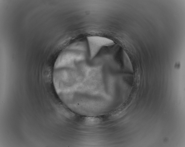 X0000090930234200708201835