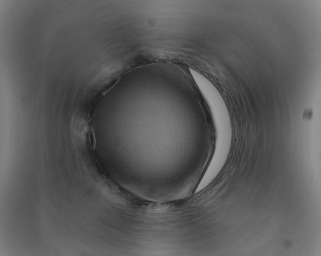 X0000090930235200708201835