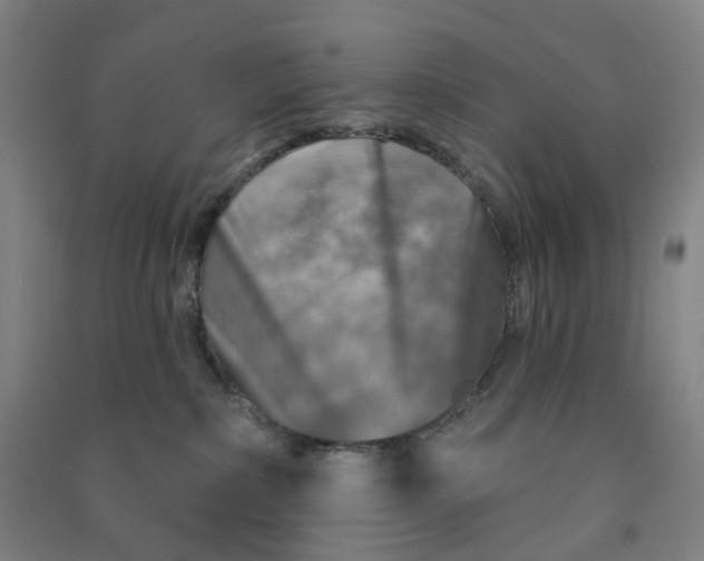 X0000090930236200708201835