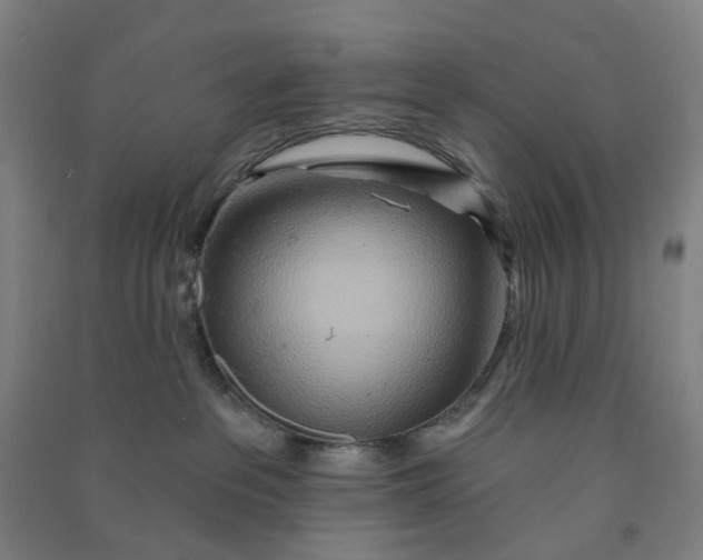 X0000090930237200708201835