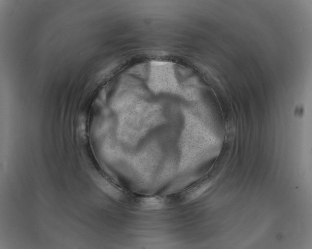 X0000090930238200708201835