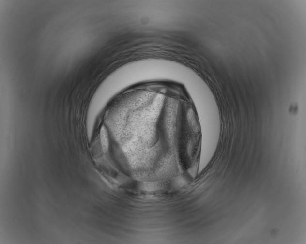 X0000090930239200708201835