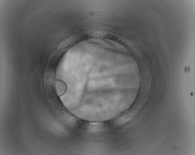 X0000090930240200708201835