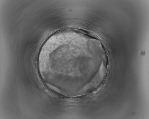 X0000090930241200708201835