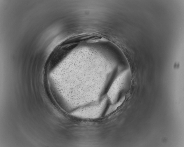 X0000090930242200708201835