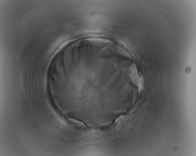 X0000090930243200708201835