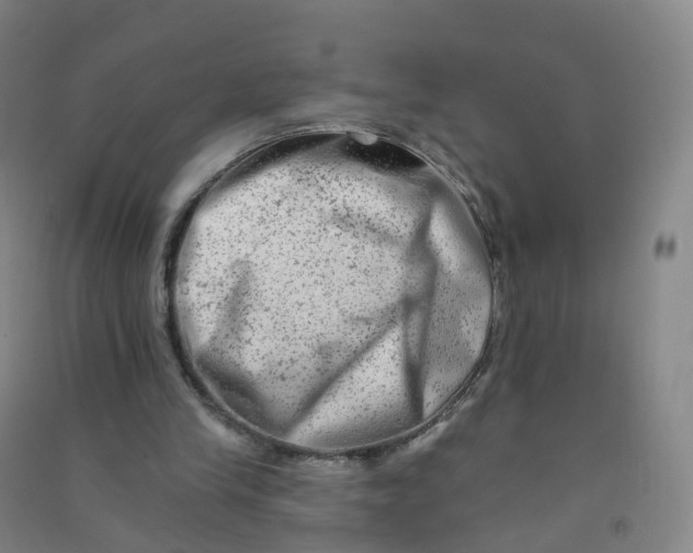 X0000090930245200708201835