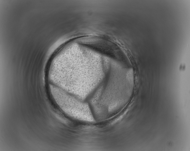 X0000090930246200708201835