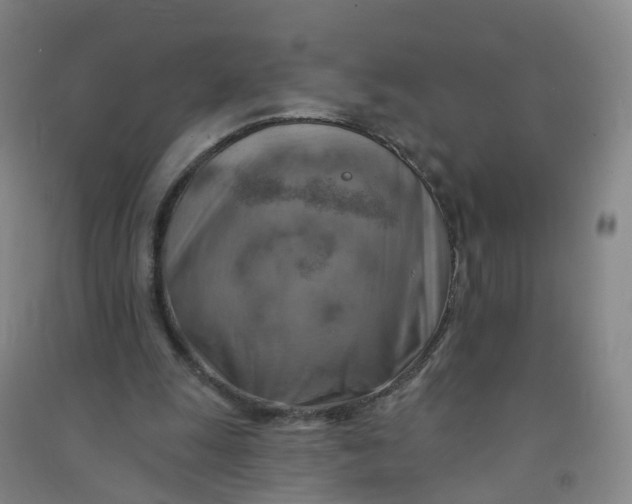 X0000090930247200708201835