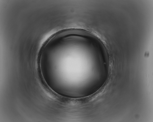 X0000090930248200708201835