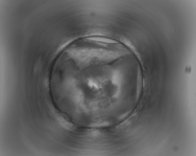 X0000090930249200708201835