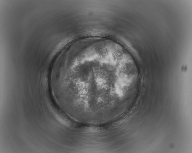 X0000090930250200708201835