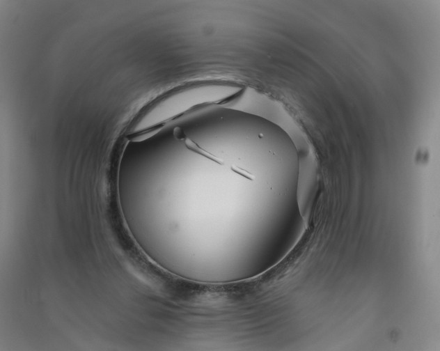 X0000090930252200708201835