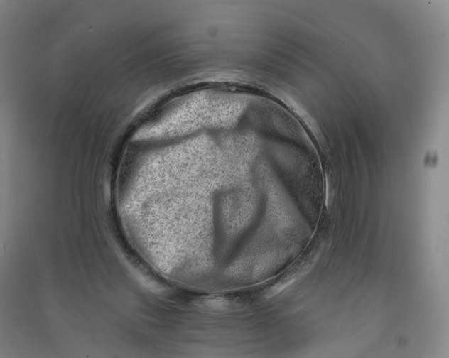 X0000090930253200708201835