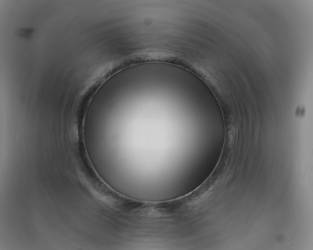 X0000090930254200708201835