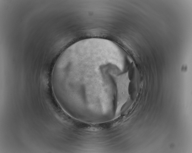 X0000090930255200708201835