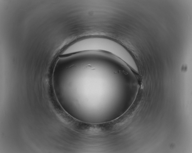 X0000090930256200708201835