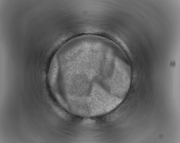 X0000090930257200708201835