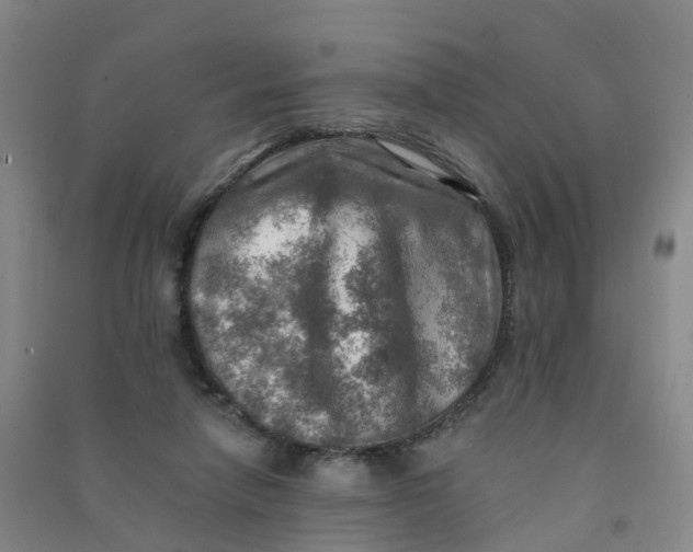 X0000090930258200708201835