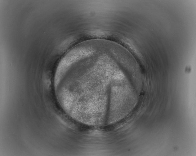 X0000090930259200708201835