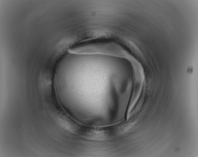 X0000090930260200708201835