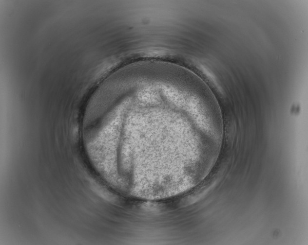 X0000090930261200708201835