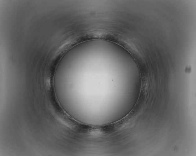 X0000090930262200708201835