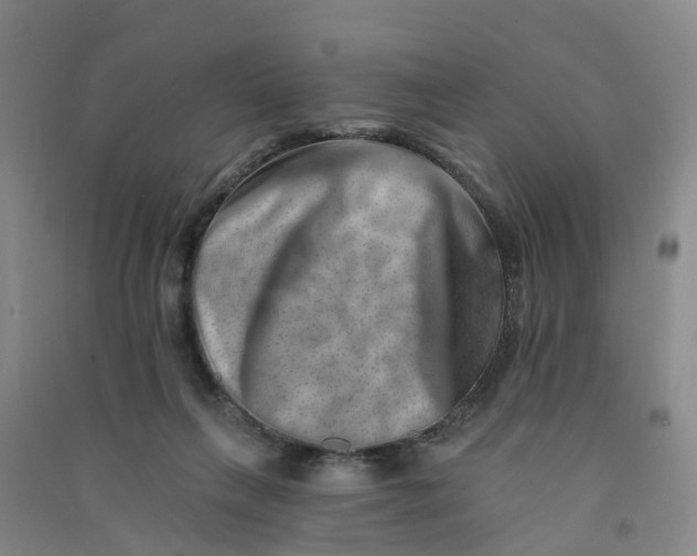 X0000090930263200708201835