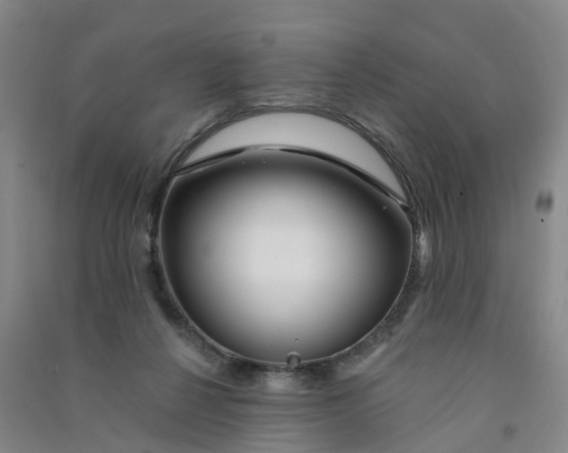 X0000090930264200708201835