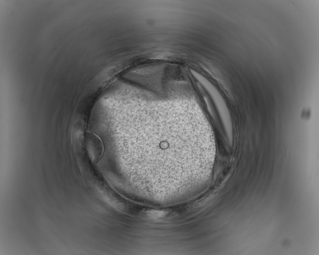 X0000090930265200708201835