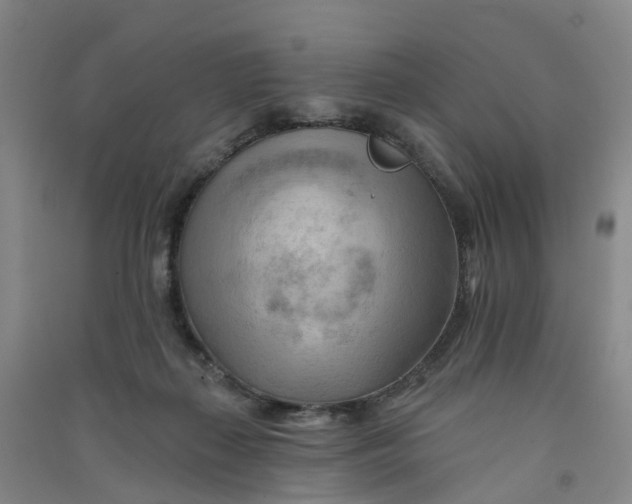 X0000090930267200708201835