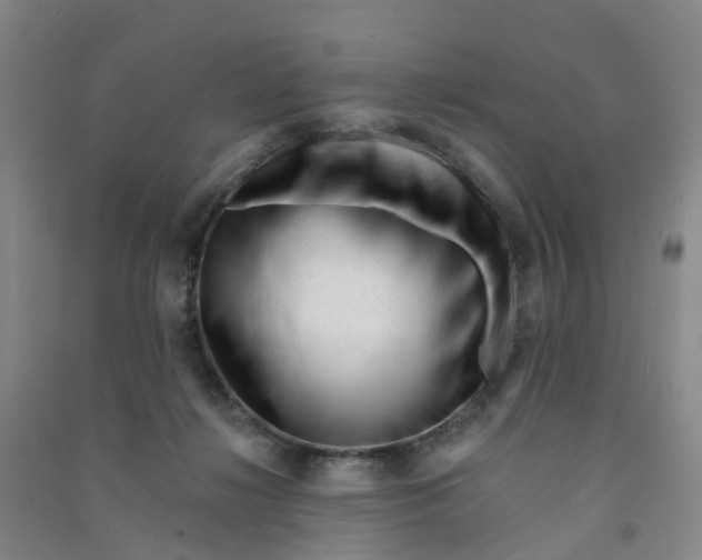 X0000090930268200708201835