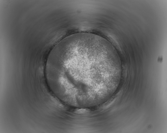 X0000090930269200708201835