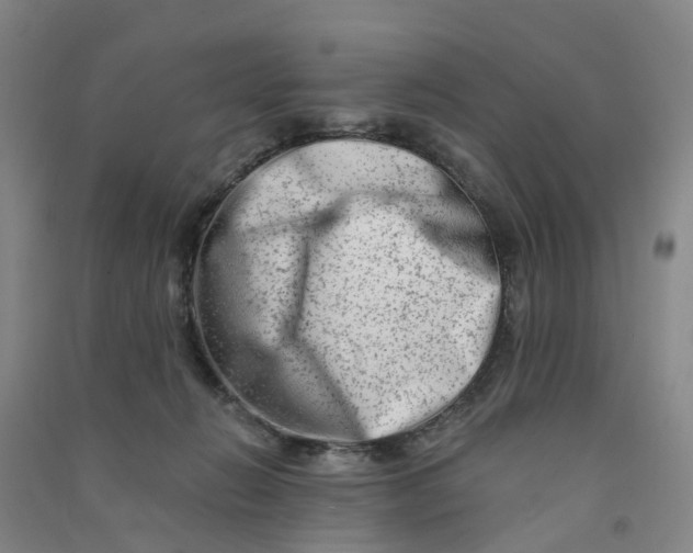 X0000090930270200708201835