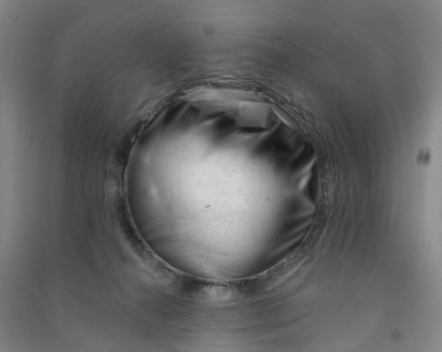 X0000090930272200708201835