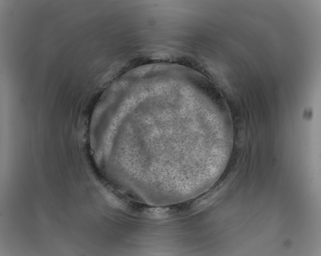 X0000090930273200708201835