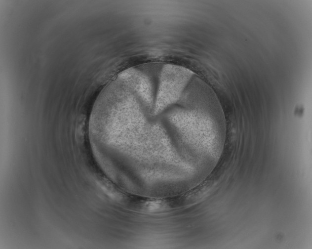 X0000090930275200708201835