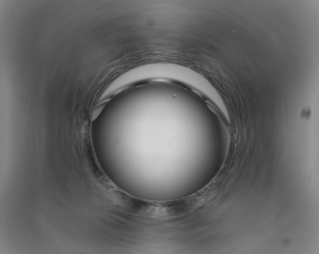 X0000090930276200708201835