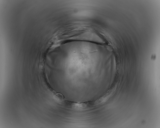 X0000090930277200708201835