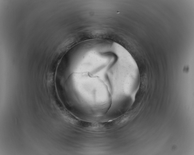 X0000090930278200708201835