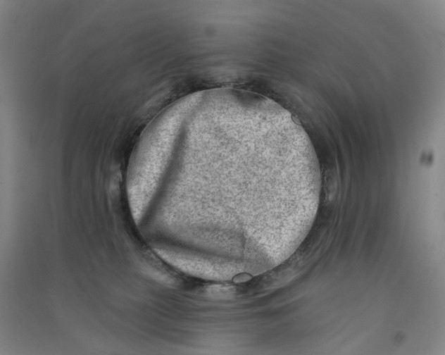 X0000090930279200708201835