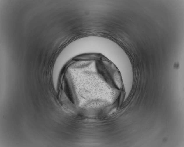 X0000090930280200708201835