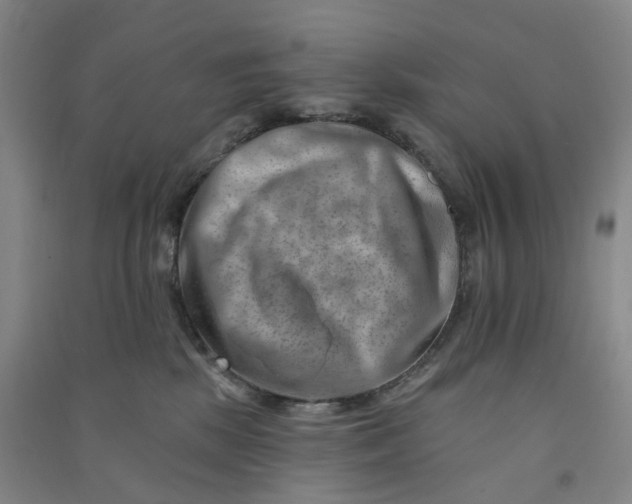 X0000090930281200708201835