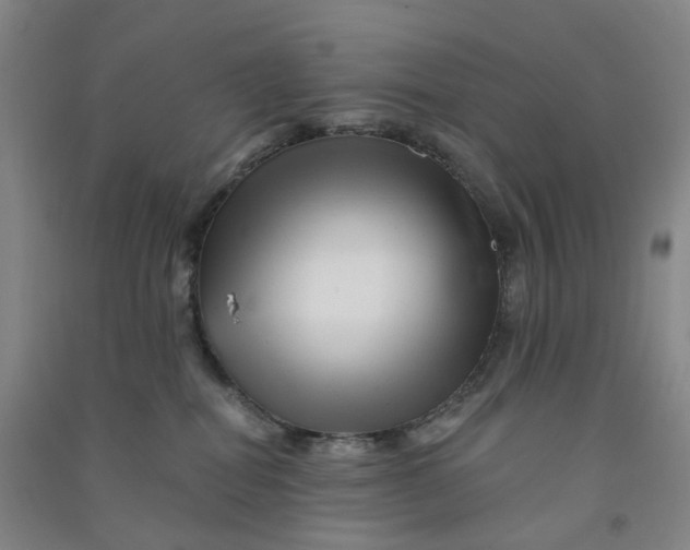 X0000090930282200708201835