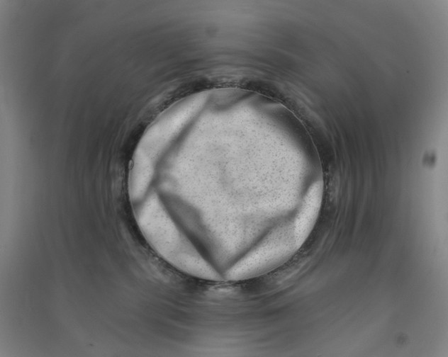 X0000090930283200708201835