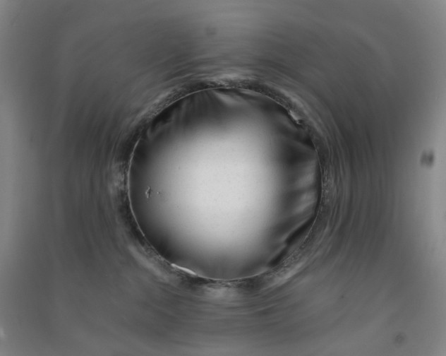 X0000090930284200708201835