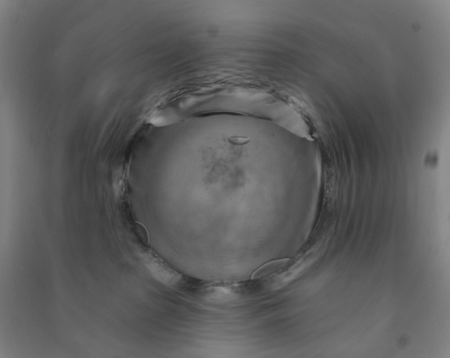 X0000090930285200708201835