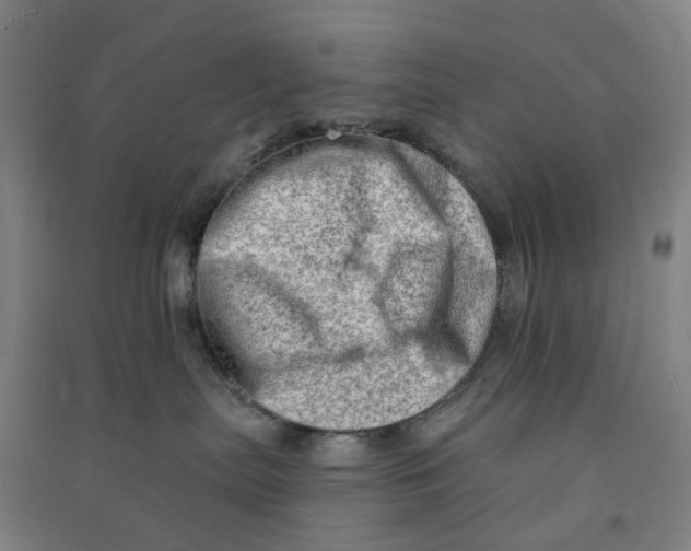 X0000090930287200708201835