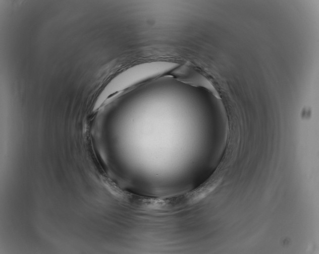 X0000090930288200708201835