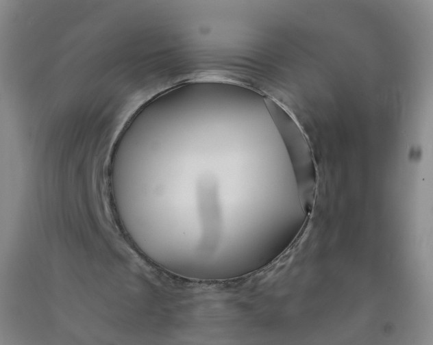 X0000090930289200708201835